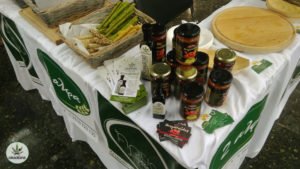 Κανναβέλαιο